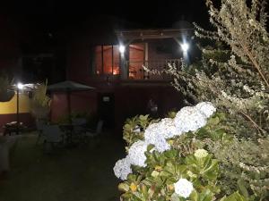 阿拉胡埃拉Hotel Chalets Los Volcanes的夜晚有一堆白色花的房子