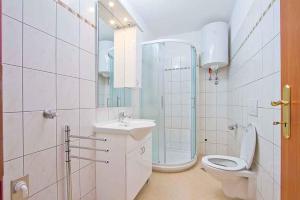 诺维格勒伊斯特拉Two-Bedroom Apartment in Novigrad I的浴室配有卫生间、盥洗盆和淋浴。