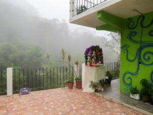 希利特拉Casa Verde Xilitla By Rotamundos的美景阳台