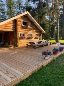 VehendiTrepimäe Holiday House的小木屋设有野餐桌和长凳
