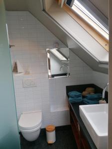 奥斯坦德Sea-Me Ostend的一间带卫生间和水槽的小浴室