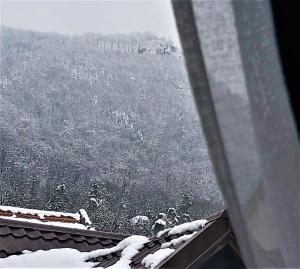 布拉索夫92 Residence的从房子的屋顶上欣赏雪景