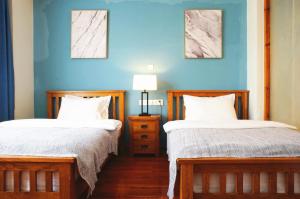 大理大理云兮精品客栈的蓝色墙壁客房的两张床