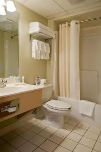锡考克斯梅多兰兹广场酒店的一间带卫生间、水槽和镜子的浴室