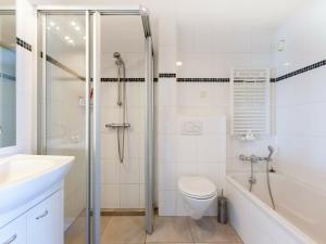 Langweer利茨西本斯蒂度假屋的带淋浴、卫生间和盥洗盆的浴室