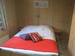 巴勒姆Secluded Holiday Home in Ballum Frisian Islands的一张床上有两个枕头的房间