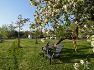 贝亨奥普佐姆Holiday Home in Bergen op Zoom with Garden的公园里四张公园长椅,坐在树下