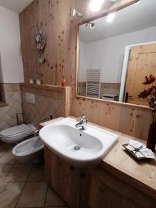 瓦尔迪登特罗Taverna Larice的一间带水槽、卫生间和镜子的浴室