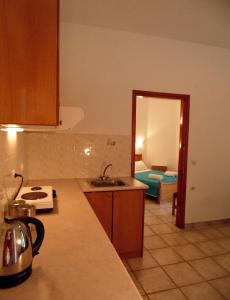 帕蒂迪里奥梅林尼公寓的带水槽的厨房和1间带床的房间