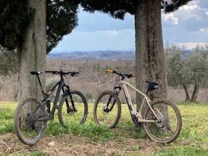 在Agriturismo Amina, Winery & Hiking内部或周边骑自行车