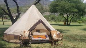 MtowabagaLake Natron Maasai giraffe eco Lodge and camping的田野上带两把椅子的白色帐篷