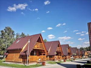 IłżaPrzystań - Aktywna strona Iłży的排有棕色屋顶的圆木房屋