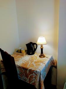 圣卡洛斯-德巴里洛切Astoria Patagonia II habitaciones privadas的一张桌子,上面有台灯