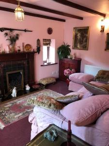 科文Cosy Cottage for Ecotourism lovers near Corwen的客厅设有粉红色的墙壁和壁炉
