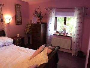 科文Cosy Cottage for Ecotourism lovers near Corwen的一间卧室设有一张床和一个窗口