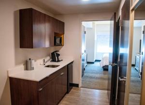 Holiday Inn & Suites - Savannah Airport - Pooler, an IHG Hotel的一间浴室