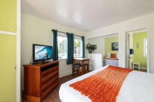 圣克莱门特爱国者精品汽车旅馆的一间卧室配有一张床和一台平面电视