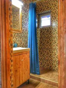 雷夫菲勒普Káli Pihenőház的一间带蓝色淋浴帘的淋浴的浴室
