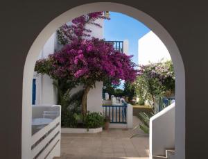 加藤-达拉特索Astra Hotel Apartments的白色建筑上带紫色花的拱门