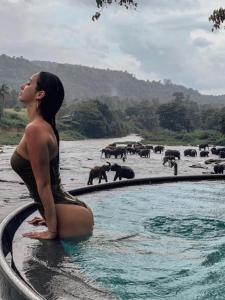 平纳瓦拉大象湾酒店的一群大象坐在水塘里的女人