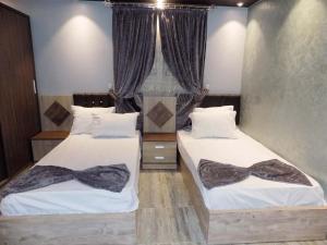 开罗城市酒店的一间卧室设有两张床,上面有弓形纽带