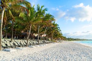 西普哈加泰罗尼亚皇家图卢姆海滩Spa度假村 - 仅限成人 - 全包的海滩上,有椅子和棕榈树,还有大海
