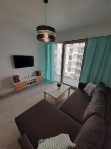 米兹多洛杰Apartament Aniutka的带沙发和平面电视的客厅