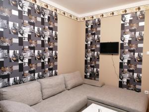 豪伊杜索博斯洛Margit Apartman的客厅配有沙发和带照片的墙壁