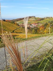 韦因地区拉奇Weinstraßenapartment Fam. Dietrich的从种植植物的小山上可欣赏到葡萄园的景色