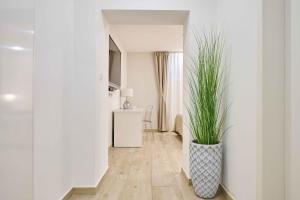 斯普利特Best location Rooms的花瓶里种植植物的走廊