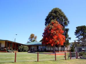 NewmerellaSnowy river homestead的建筑物前有红叶的树