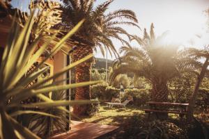 拉科纳Residence il Mandorlo的一个带长凳和棕榈树的花园,阳光灿烂