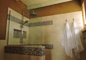巴拉德瓦利扎斯Los Chajá Ecolodge的带淋浴和盥洗盆的浴室