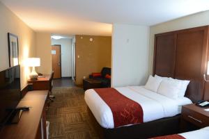 尚佩恩乌尔班纳尚佩恩大学区康福特套房酒店的酒店客房设有一张大床和一张沙发。