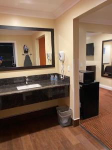 圣何塞会议中心汽车旅馆及套房的一间带水槽和大镜子的浴室