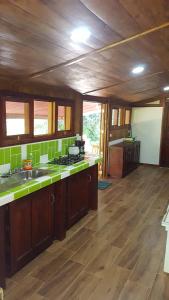 Caño NegroCasa Mairena的一间铺有木地板并配有绿色台面的大厨房