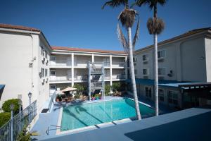 安纳海姆布鲁克哈斯特广场旅馆的享有酒店游泳池和棕榈树的景色