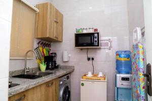 阿布贾GAZANIA CLASSIC SUITE, RHODABODE APT.的一间带水槽和微波炉的小厨房