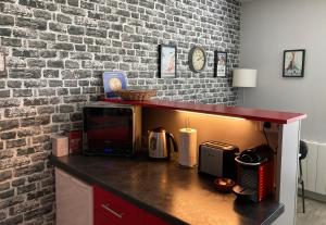 安锡阿讷西都市风情一室公寓的带微波炉的厨房台面和砖墙