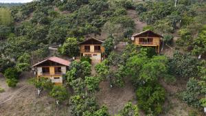 阿纳波伊马ECOCABAÑAS SAN PEDRO的树木小山上房屋的空中景观