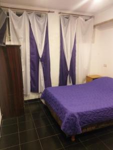 布宜诺斯艾利斯CHE LOLITA HOUSE的一间卧室配有紫色的床和白色窗帘