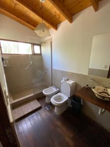 塔菲德尔瓦勒Cabaña El Churqui的浴室配有卫生间、淋浴和盥洗盆。