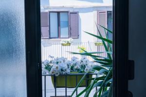 卡塔尼亚埃特纳套房旅馆的阳台上的窗户,配有鲜花桌