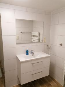 阿尔滕堡Kunstgasse 4+5的白色的浴室设有水槽和镜子