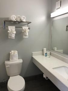 圣安东尼奥Sky Palace Inn By Jasper Near AT & T Center的一间带卫生间、水槽和镜子的浴室