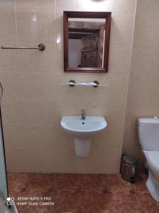SubbotovГотельний комплекс Трапезна的一间带水槽、卫生间和镜子的浴室