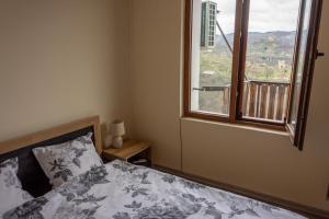 大特尔诺沃Guest house Viki的一间卧室设有一张床和一个大窗户