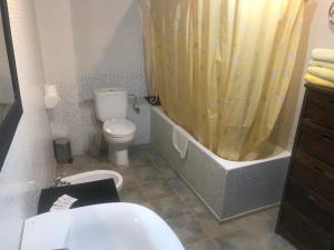 阿尔特伦罗克酒店的一间带卫生间和淋浴帘的浴室
