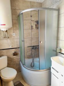 亚列姆切Садиба Едельвейс的带淋浴的浴室(带卫生间和水槽)