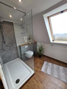 BreiholzFerienwohnung mit wunderschönem Blick auf den Nord-Ostsee-Kanal的带淋浴和卫生间的浴室以及窗户。